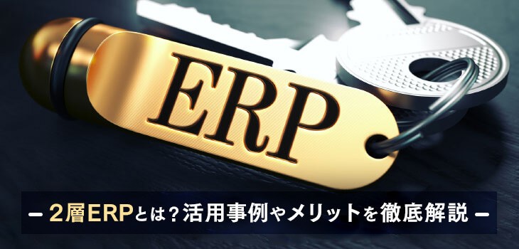 ２層ERPとは？活用事例やメリットを徹底解説