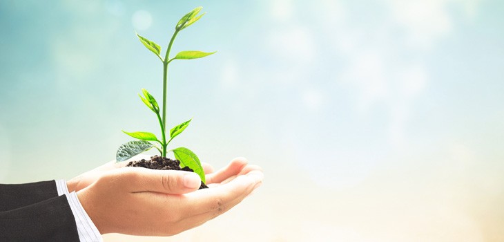 初心者向け在庫管理システムの基本！できることや選び方を解説