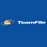 TeamFileのロゴ