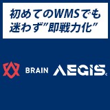 BRAIN AEGIS
