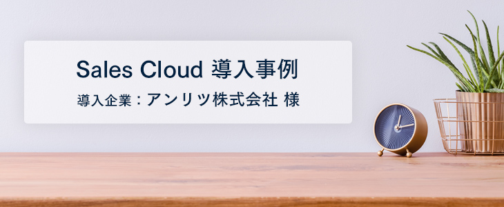 Salesforce で叶えた「顧客軸のマーケティング／営業／サービス改革」